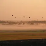 Lägenhet Brunbjerg Billund
