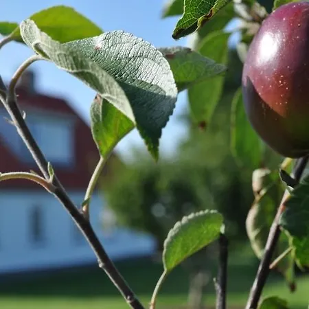 Brunbjerg Apartamento Billund